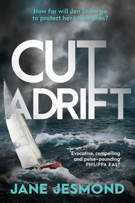 Cut Adrift: A Times Thriller of the Year - 'trimly steered and freighted with contemporary resonance' book