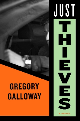 Just Thieves book