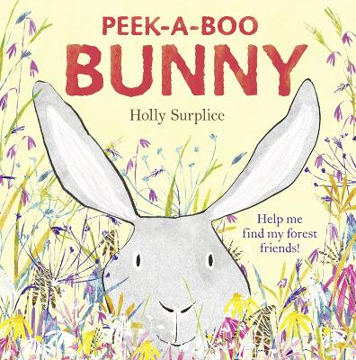 Peek-a-Boo Bunny book