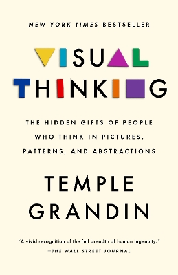 Visual Thinking: The Hidden Gifts of People Who Think in Pictures, Patterns, and Abstractions book