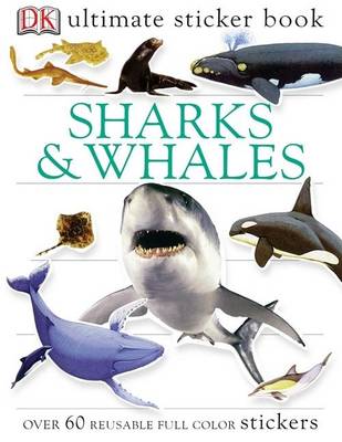 Shark and Whale book