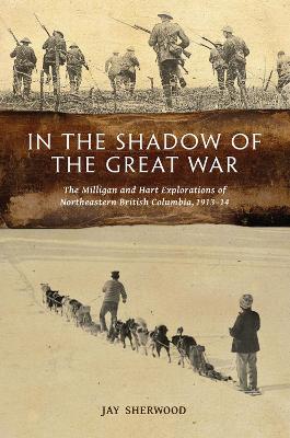 In the Shadow of the Great War book