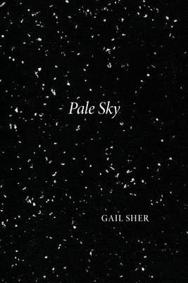 Pale Sky book