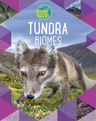 Earth's Natural Biomes: Tundra by Louise Spilsbury