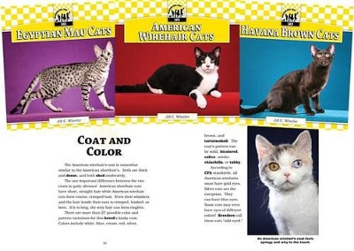 Cats Set book