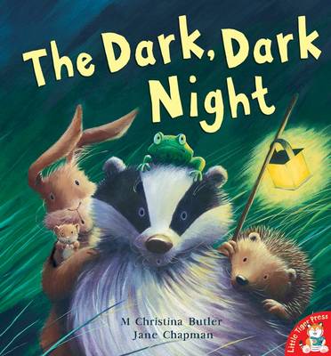 The Dark, Dark Night book