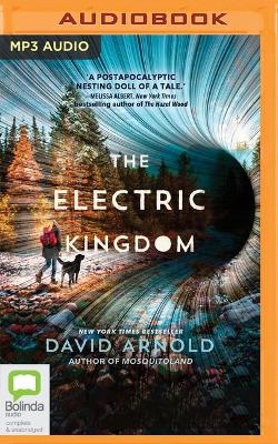 The Electric Kingdom by David Arnold