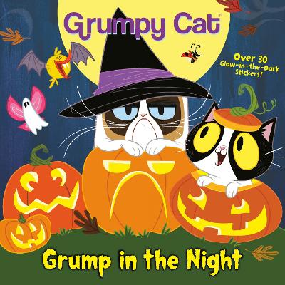 Grump in the Night book