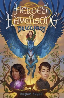 Heroes of Havensong: Dragonboy book