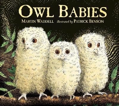 Owl Babies book