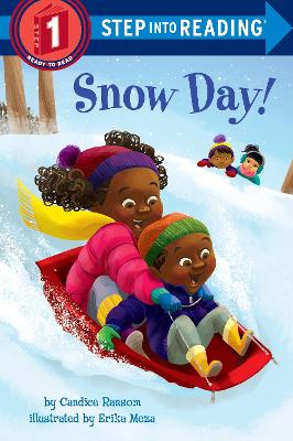 Snow Day! book