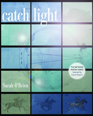 Catch Light book