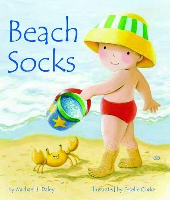 Beach Socks book