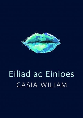 Cyfres Tonfedd Heddiw: Eiliad ac Einioes by Casia Wiliam