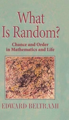 What Is Random? by Edward Beltrami