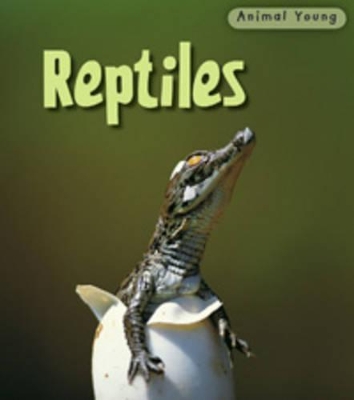 Reptiles by Rod Theodorou