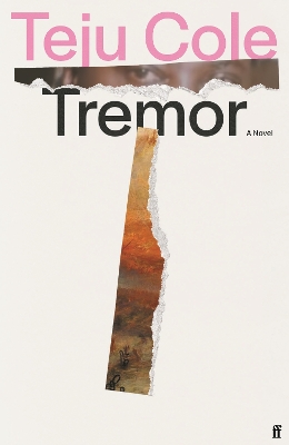 Tremor: 'Dazzling.' Deborah Levy by Teju Cole