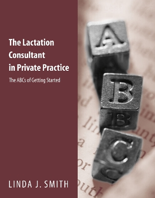 The Lactation Consultant in Private Practice: the ABCs of Getting Started: The ABCs of Getting Started book