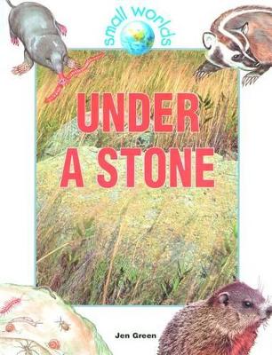 Under a Stone book