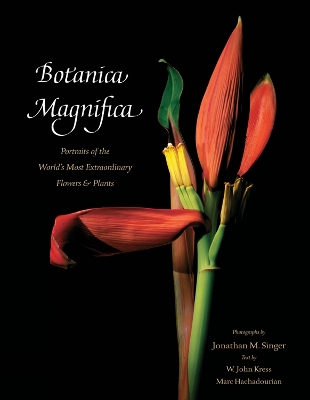 Botanica Magnifica: Portraits of the World?s Most Extraordinary Flowers and Plants by Jonathan Singer