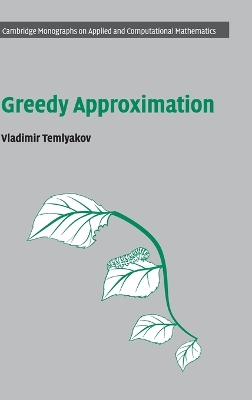 Greedy Approximation book