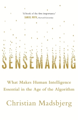 Sensemaking book