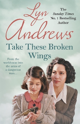 Take these Broken Wings book