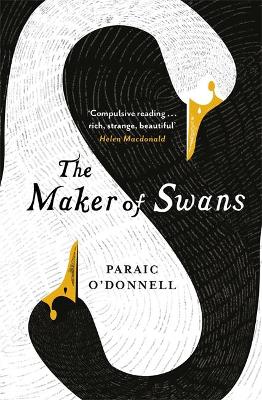 Maker of Swans by Paraic O'Donnell