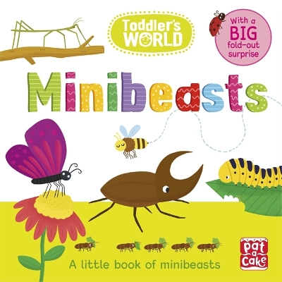 Toddler's World: Minibeasts: A little board book of minibeasts with a fold-out surprise book