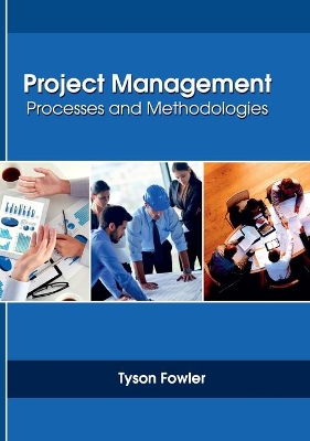 Project Management: Processes and Methodologies book