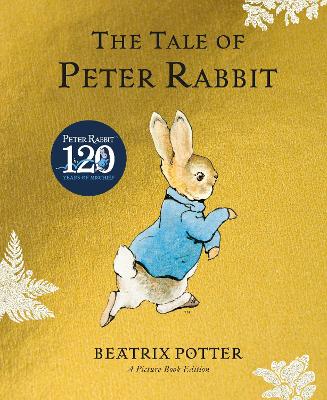 The Tale of Peter Rabbit Picture Book book