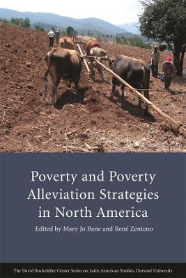 Poverty and Poverty Alleviation Strategies in North America book