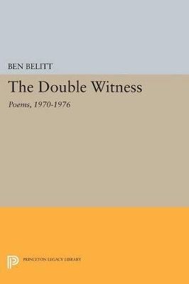 Double Witness book