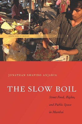 Slow Boil book