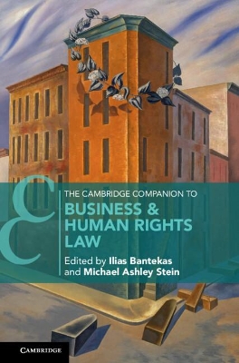 The Cambridge Companion to Business and Human Rights Law book