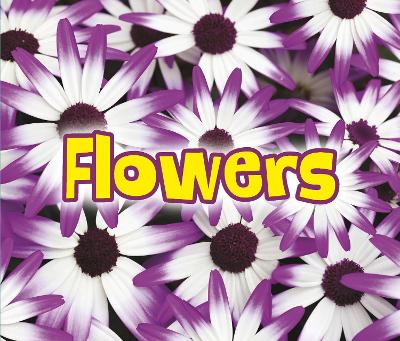 All About Flowers by Claire Throp