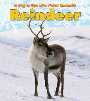 Reindeer book