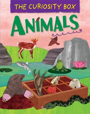 Curiosity Box: Animals book