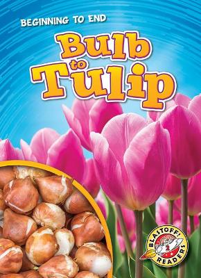 Bulb To Tulip book