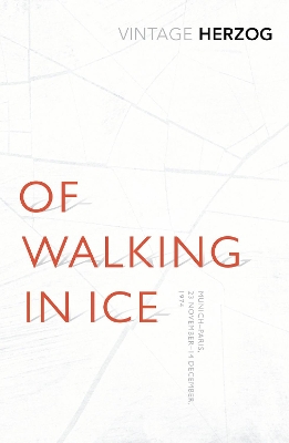 Of Walking In Ice by Werner Herzog