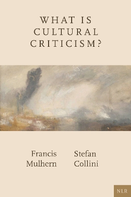 What Is Cultural Criticism? book