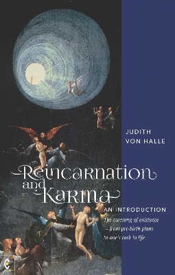 Reincarnation and Karma, An Introduction: The meaning of existence - from pre-birth plans to one's task in life book