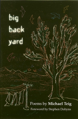 Big Back Yard book