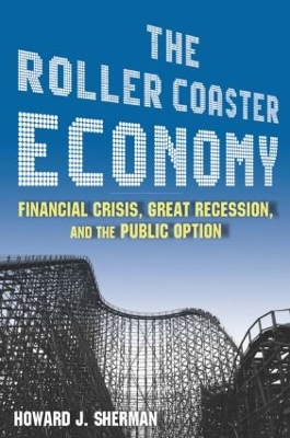 Roller Coaster Economy book