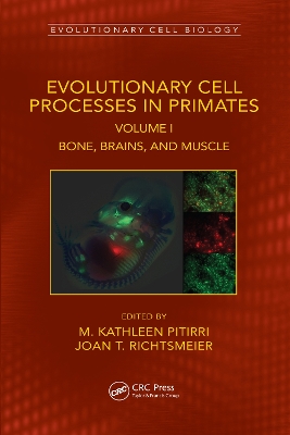 Evolutionary Cell Processes in Primates: Bone, Brains, and Muscle, Volume I by M. Kathleen Pitirri