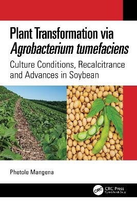 Plant Transformation via Agrobacterium Tumefaciens: Culture Conditions, Recalcitrance and Advances in Soybean book