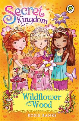 Secret Kingdom: Wildflower Wood book