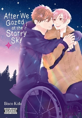 After We Gazed at the Starry Sky, Vol. 2 book