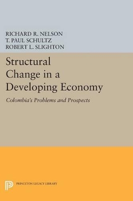 Structural Change in a Developing Economy book