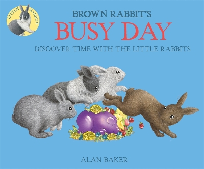 Little Rabbits Brown Rabbit's Busy Day book